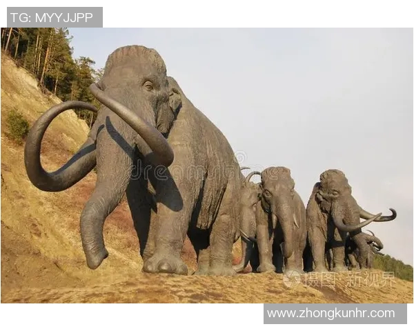 猛犸象尝试新首发阵容,追求获胜 猛犸象尝试新首发阵容,追求获胜